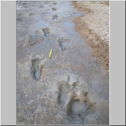 102_7501 (2013-08-19)m.JPG